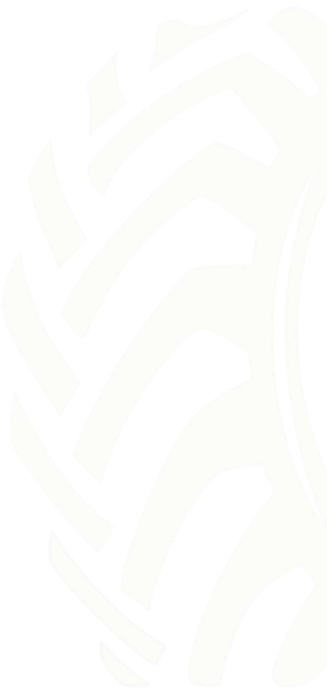 LOGO TAMPA TIRE_COLOR 1 2