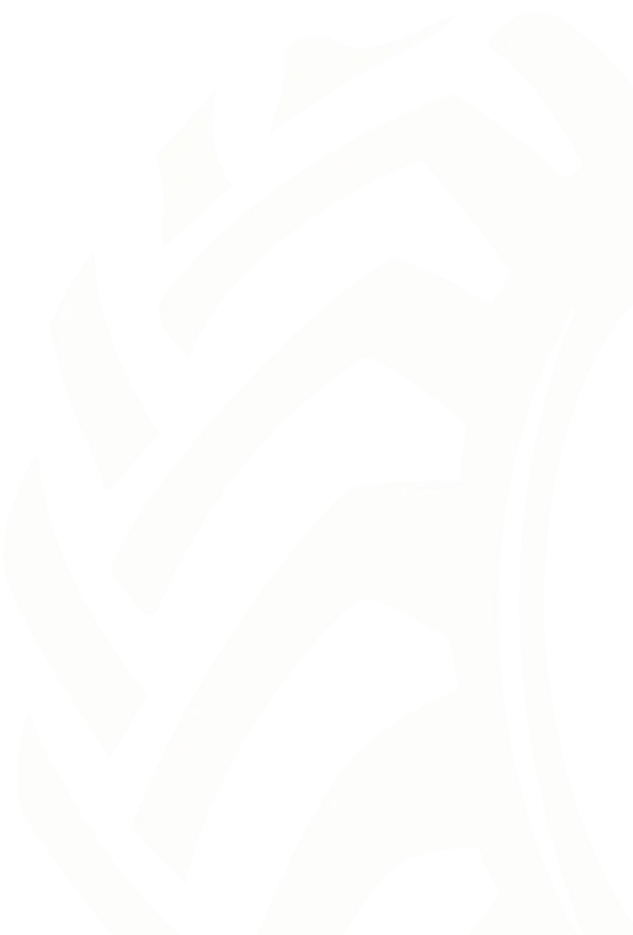 LOGO TAMPA TIRE_COLOR 1 3