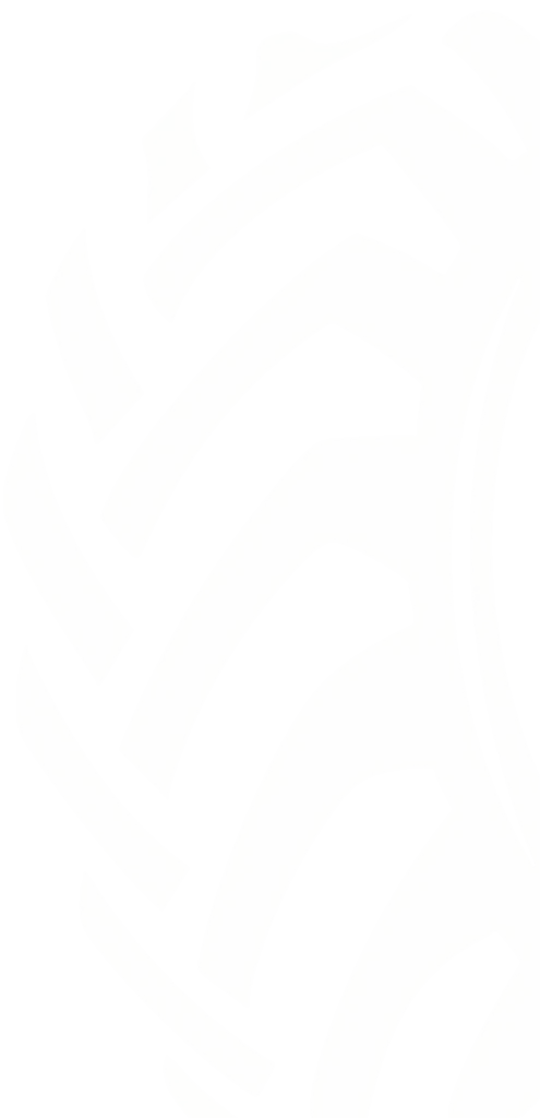 LOGO TAMPA TIRE_COLOR 1 4